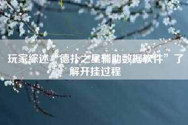 玩家综述“德扑之星辅助数据软件”了解开挂过程