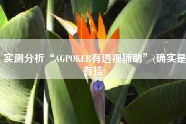 实测分析“AGPOKER有透视辅助”(确实是有挂)