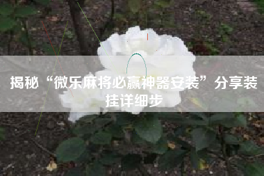 揭秘“微乐麻将必赢神器安装”分享装挂详细步