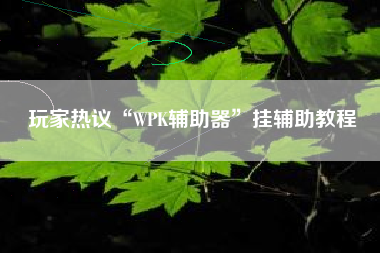 玩家热议“WPK辅助器”挂辅助教程