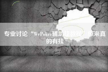 专业讨论“WePoker辅助挂教程”原来真的有挂