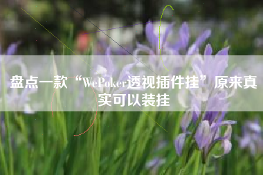 盘点一款“WePoker透视插件挂”原来真实可以装挂