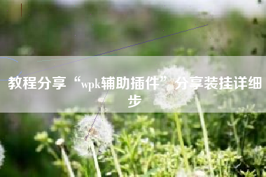 教程分享“wpk辅助插件”分享装挂详细步