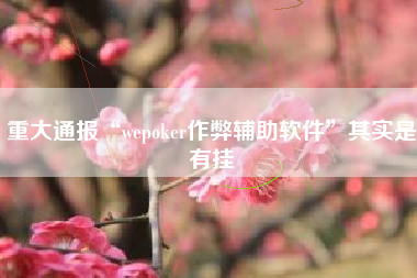 重大通报“wepoker作弊辅助软件”其实是有挂 重大通报“wepoker作弊辅助软件”其实是有挂