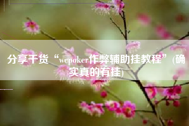 分享干货“wepoker作弊辅助挂教程”(确实真的有挂)