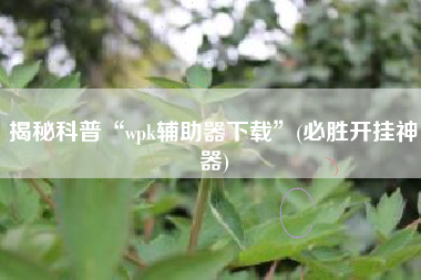 揭秘科普“wpk辅助器下载”(必胜开挂神器)