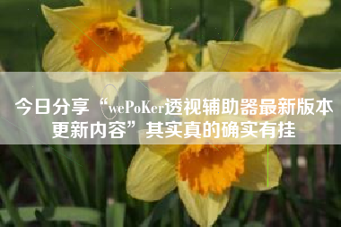 今日分享“wePoKer透视辅助器最新版本更新内容”其实真的确实有挂