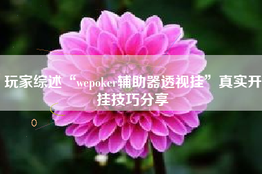 玩家综述“wepoker辅助器透视挂”真实开挂技巧分享
