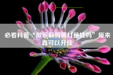 必看科普“微乐麻将黄灯是挂吗”原来真可以开挂