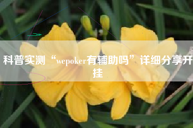 科普实测“wepoker有辅助吗”详细分享开挂