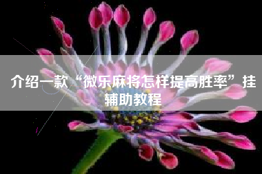 介绍一款“微乐麻将怎样提高胜率”挂辅助教程