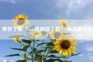带你了解“wpk透视挂下载”(确实能开挂)