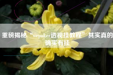 重磅揭秘“wepoker透视挂教程”其实真的确实有挂