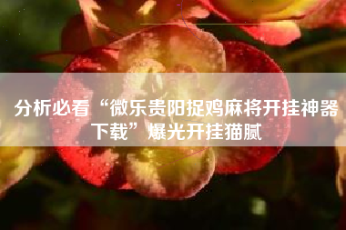 分析必看“微乐贵阳捉鸡麻将开挂神器下载”爆光开挂猫腻