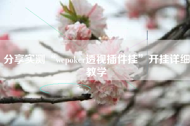 分享实测“wepoker透视插件挂”开挂详细教学