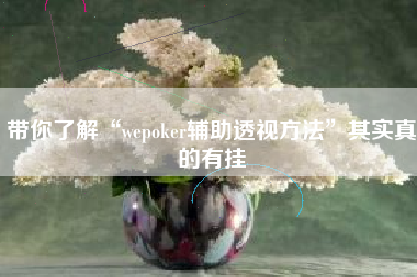 带你了解“wepoker辅助透视方法”其实真的有挂