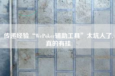 传递经验“WePoker辅助工具”太坑人了,真的有挂