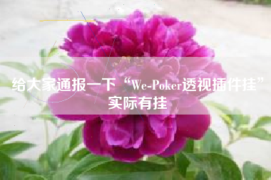 给大家通报一下“We-Poker透视插件挂”实际有挂