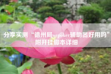 分享实测“德州局wepoker辅助器好用吗”附开挂脚本详细