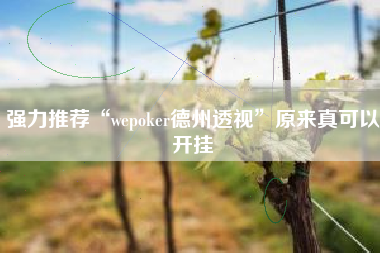 强力推荐“wepoker德州透视”原来真可以开挂