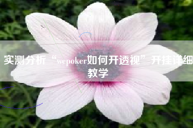 实测分析“wepoker如何开透视”开挂详细教学