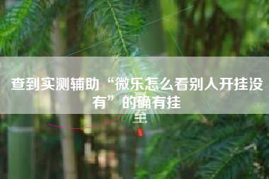 查到实测辅助“微乐怎么看别人开挂没有”的确有挂