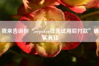 我来告诉你“wepoker挂先试用后付款”确实有挂