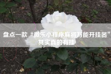 盘点一款“微乐小程序麻将万能开挂器”其实真的有挂 盘点一款“微乐小程序麻将万能开挂器”其实真的有挂