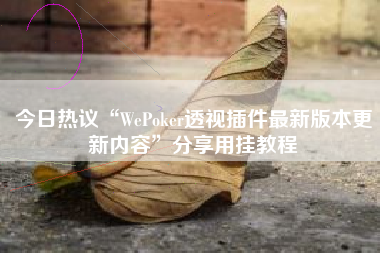 今日热议“WePoker透视插件最新版本更新内容”分享用挂教程