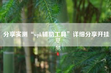 分享实测“wpk辅助工具”详细分享开挂
