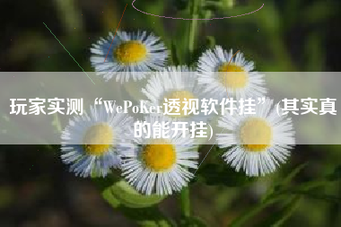 玩家实测“WePoKer透视软件挂”(其实真的能开挂) 玩家实测“WePoKer透视软件挂”(其实真的能开挂)