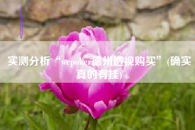 实测分析“wepoker德州透视购买”(确实真的有挂)