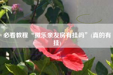必看教程“微乐亲友房有挂吗”(真的有挂) 必看教程“微乐亲友房有挂吗”(真的有挂)