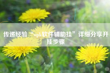 传递经验“wpk软件辅助挂”详细分享开挂步骤 传递经验“wpk软件辅助挂”详细分享开挂步骤