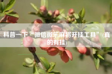 科普一下“微信微乐麻将开挂工具”(真的有挂) 科普一下“微信微乐麻将开挂工具”(真的有挂)