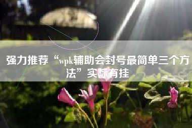 强力推荐“wpk辅助会封号最简单三个方法”实际有挂 强力推荐“wpk辅助会封号最简单三个方法”实际有挂