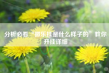 分析必看“微乐挂是什么样子的”教你开挂详细