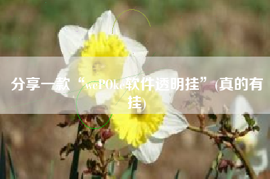 分享一款“wePOke软件透明挂”(真的有挂) 分享一款“wePOke软件透明挂”(真的有挂)