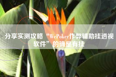 分享实测攻略“WePoker作弊辅助挂透视软件”的确是有挂 分享实测攻略“WePoker作弊辅助挂透视软件”的确是有挂
