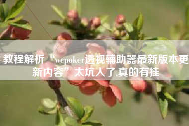 教程解析“wepoker透视辅助器最新版本更新内容”太坑人了,真的有挂