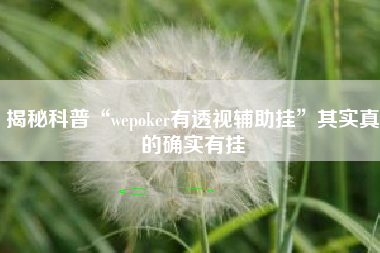 揭秘科普“wepoker有透视辅助挂”其实真的确实有挂