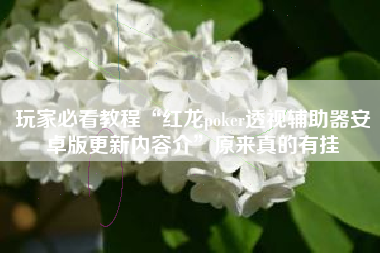 玩家必看教程“红龙poker透视辅助器安卓版更新内容介”原来真的有挂