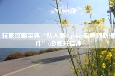 玩家攻略宝典“私人局wepoker看牌辅助插件”(必胜开挂神
