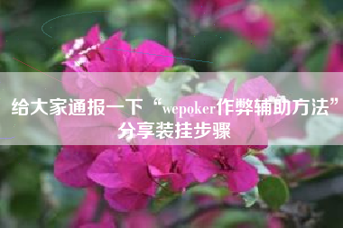 给大家通报一下“wepoker作弊辅助方法”分享装挂步骤 给大家通报一下“wepoker作弊辅助方法”分享装挂步骤