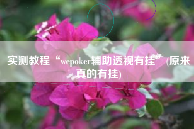 实测教程“wepoker辅助透视有挂”(原来真的有挂) 实测教程“wepoker辅助透视有挂”(原来真的有挂)