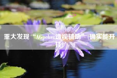重大发现“AGpoker透视辅助”(确实能开挂) 重大发现“AGpoker透视辅助”(确实能开挂)