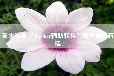 重大发现“hhpoker辅助软件”原来真的有挂 重大发现“hhpoker辅助软件”原来真的有挂
