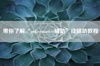 带你了解“pokermaster辅助”挂辅助教程 带你了解“pokermaster辅助”挂辅助教程