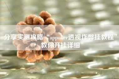 分享实测攻略“appoker透视作弊挂教程”教你开挂详细