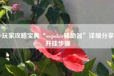 玩家攻略宝典“wepoker辅助器”详细分享开挂步骤 玩家攻略宝典“wepoker辅助器”详细分享开挂步骤